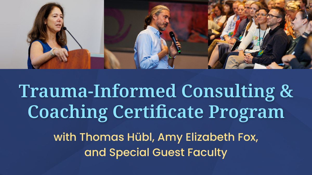 Trauma-Informed Consulting & Coaching Certificate Program